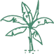 ico_002-77x77