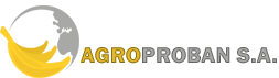 logo-footer
